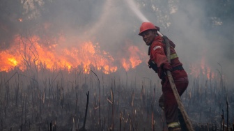 Personel Manggala Agni Daops Sumatera XIV-Banyuasin berusaha memadamkan kebakaran lahan di Desa Rambutan, Kecamatan Indralaya Utara, Kabupaten Ogan Ilir (OI), Sumatera Selatan, Sabtu (12/9/2026). [ANTARA FOTO/Nova Wahyudi/tom]
