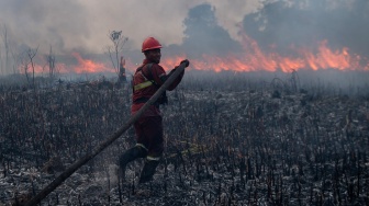 294 Karhutla Terjadi di Ogan Ilir hingga September 2026