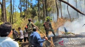 Petugas Berjibaku Padamkan Karhutla di Lereng Gunung Lawu, Api Terlihat di Titik Ini