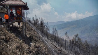 Petugas BPBD Kabupaten Malang melakukan proses pendinginan kebakaran hutan di kawasan Taman Nasional Bromo Tengger Semeru (TNBTS), Kabupaten Malang, Jawa Timur, Minggu (13/9/2026). [ANTARA FOTO/Irfan Sumanjaya/nz]