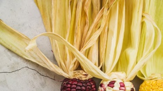 Kulit Jagung Dikembangkan Jadi Bioplastik, Bisakah Jadi Alternatif untuk Kurangi Sampah Plastik?