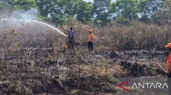 Awas! Lima Titik Karhutla di Cianjur Terjadi Hampir Bersamaan