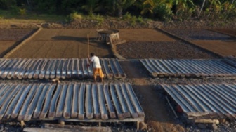 Mengintip Cara Warisan Leluhur Bali Membuat Garam Palung Secara Tradisional