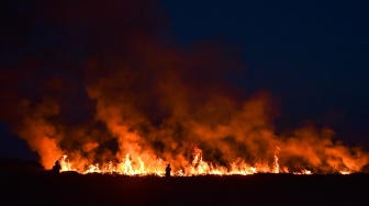 Pewarta merekam gambar saat kebakaran lahan terjadi di Tanjung Pauh Hilir, Kerinci, Jambi, Selasa (15/9/2026). [ANTARA FOTO/Wahdi Septiawan/tom]