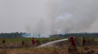 Personel Manggala Agni melakukan pendinginan kebakaran hutan di Pusat Konservasi Gajah (PKG) Jalur 21 Padang Sugihan, Kabupaten Banyuasin, Sumatera Selatan, Kamis (17/9/2026). [ANTARA FOTO/Nova Wahyudi/kye] 