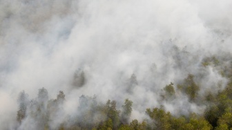 Foto udara asap mengepul dari kebakaran hutan di Pusat Konservasi Gajah (PKG) Jalur 21 Padang Sugihan, Kabupaten Banyuasin, Sumatera Selatan, Kamis (17/9/2026). [ANTARA FOTO/Nova Wahyudi/kye]