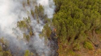 Foto udara asap mengepul dari kebakaran hutan di Pusat Konservasi Gajah (PKG) Jalur 21 Padang Sugihan, Kabupaten Banyuasin, Sumatera Selatan, Kamis (17/9/2026). [ANTARA FOTO/Nova Wahyudi/kye]