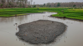 Kondisi Waduk Saradan yang mulai menyusut di Madiun, Jawa Timur, Sabtu (19/9/2026). [ANTARA FOTO/Muhammad Mada/YU]