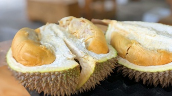Menyambut Musim Durian: 5 Olahan Manis dan Gurih agar Tidak Bosan dan Mubazir