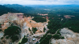 Tanah Bekas Tambang Ternyata Masih Punya Kehidupan, Ini Temuan IPB