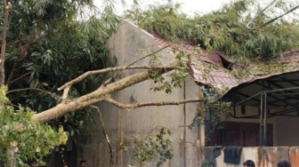 Angin Puting Beliung Terjang Taput, 29 Rumah Rusak