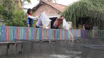 Sinergi Bersama Pemprov Sumsel, Kilang Plaju Salurkan 10 Ribu Bibit Patin Dukung GSMP