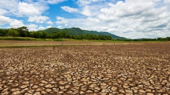 Mengapa Musin Hujan Tahun Ini Telat? El Nino Kuat Jadi Dalang di Balik Kemarau Panjang