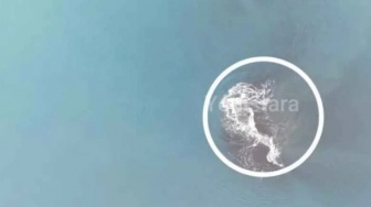 Kemunculan Cucu Krakatau Seluas 30,3 Hektare Bikin Heboh Media Asing: Gunung Api Baru?