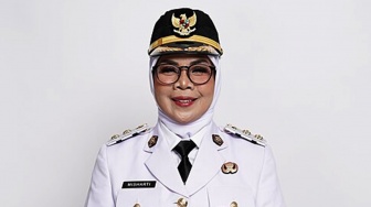 Harta Kekayaan Misharti, Wabup Kampar Disorot usai Viral Tegur Guru Honorer