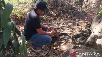 Dua Yoni Situs Pocangan Jember Hilang, DPRD Desak Perlindungan Cagar Budaya Diperkuat