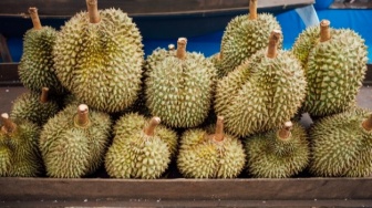 Kulit Durian Tak Lagi Jadi Sampah, Kini Bisa Menyala Jadi Bahan Bakar