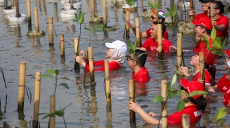 Suasana penanaman pohon mangrove dalam acara PLAN & PLANT, 1 Polis = 1 Mangrove di Taman Wisata Alam Angke, Kamis (24/9/2026).  [handout]
