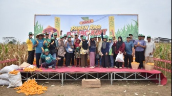 Termasuk di Wonogiri, Bayer Panen Raya di 4 Daerah, Produktivitas Jagung Didorong Naik
