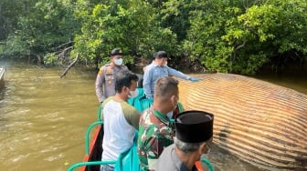 Bangkai Paus Terdampar di Perairan Indragiri Hilir Dievakuasi Tim Gabungan