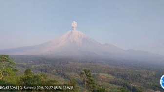 Waspada! Gunung Semeru Erupsi Lagi, Kolom Abu Vulkanik Tembus 1,3 Kilometer