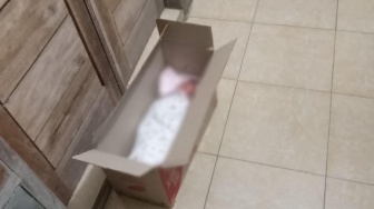 Bayi Dua Hari Ditinggalkan dalam Kardus, Tangisnya Bongkar Misteri di Depan Rumah Warga