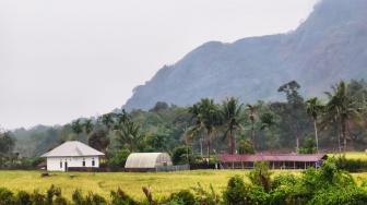 Di Kaki Bukit Besak, Menjaga Hutan di Tengah Lanskap yang Berubah