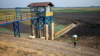 Warga menggembala kambing di dasar Waduk Cipancuh yang mengering di Haurgeulis, Indramayu, Jawa Barat, Minggu (27/9/2026). [ANTARA FOTO/Dedi Suwidiantoro/sgd]