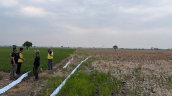 Kementerian PU Operasikan Tiga Pompa Atasi Kekeringan Sawah di Bekasi