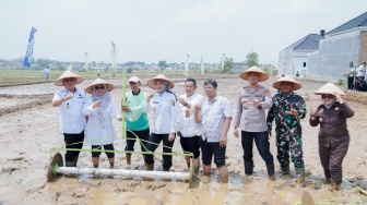 Dobrak Stagnasi 5 Ton, Teknologi Tani Modern di Lampung Sukses Lipat Gandakan Panen Jadi 11 Ton/Ha