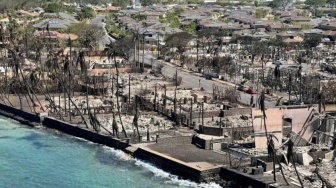 Tiga Tahun Usai Kebakaran Maui di Hawaii, Abu Api Diduga Masih Ganggu Paru Penyintas