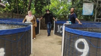 Pasok Protein Nila dan Patin untuk Program MBG, Bandar Lampung Berburu Lahan 1.000 Meter