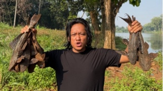 Mitos Ikan Pembersih: Sapu-Sapu Monster Invasif Penghancur Ekosistem
