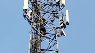 Polisi Amankan Dua Terduga Pencuri Kabel Menara Seluler di Cicalengka