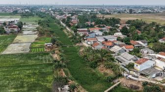 Eceng Gondok Tutupi Kali Pisang Batu di Bekasi