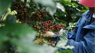 Petani di Tengah Perubahan Iklim: Mengapa Kemitraan Inklusif Menjadi Penting?
