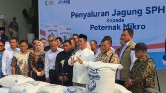 Harga Pakan Meroket Bikin Peternak Tekor, Mentan Minta Bulog Salurkan 250 Ribu Ton Jagung