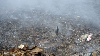 Asap Kebakaran TPA Makbon Ganggu Warga hingga Penerbangan