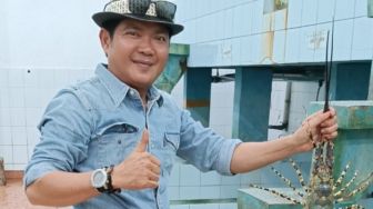 Syahrir: Penutupan Ekspor Benih Lobster Tak Cukup Hentikan Penyelundupan