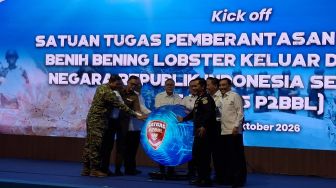 RI Punya 465 Juta Benih Lobster per Tahun, Pemerintah Bentuk Satgas Berantas Penyelundupan