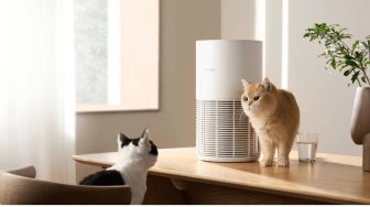 Bebas Bulu dan Bau Kotoran! 3 Air Purifier Khusus Pecinta Kucing, Mulai Rp1 Jutaan