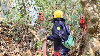 Menteri Malaysia: Kami Berhak Menuntut Indonesia karena Kebakaran Hutan
