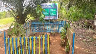 Perempuan Suku Anak Dalam Rawat Pengetahuan Obat Leluhur Lewat Kebun di Pekarangan