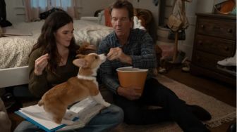 A Dog's Perfect Christmas: Kisah Anjing Bantu Keluarga Pulih dari Duka