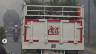 Viral Truk Kopdes Angkut Bibit Sawit Lewat Kabut Asap Kebakaran Hutan