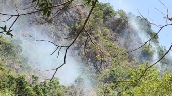 Kebakaran Hutan Karst Maros-Pangkep Ancam Lukisan Prasejarah Berusia 45.000 Tahun