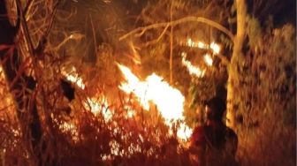 Api Mengamuk Merembet ke 4 Puncak, Jalur Pendakian Bukit Cendono Mojokerto Ditutup Total