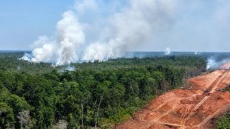 Operasional 16 Bandara di Papua Terganggu Karhutla