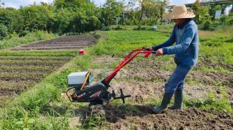 Atasi Risiko Kekeringan, Petani Mulai Manfaatkan Pompa Air Tenaga Surya