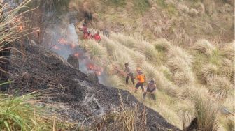 Tragedi Karhutla Bromo Terparah: Terjebak Kepungan Api, 4 Relawan Gugur dan 2 Kritis